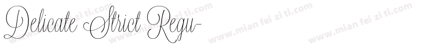 Delicate Strict Regu字体转换